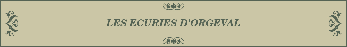 LES ECURIES D'ORGEVAL